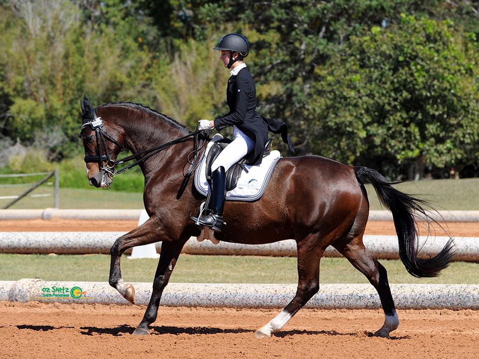 Qld State Dressage Championships Dressage Queensland